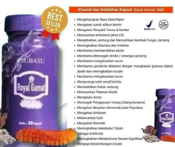 Royal Gamat (2 botol @30 kapsul)